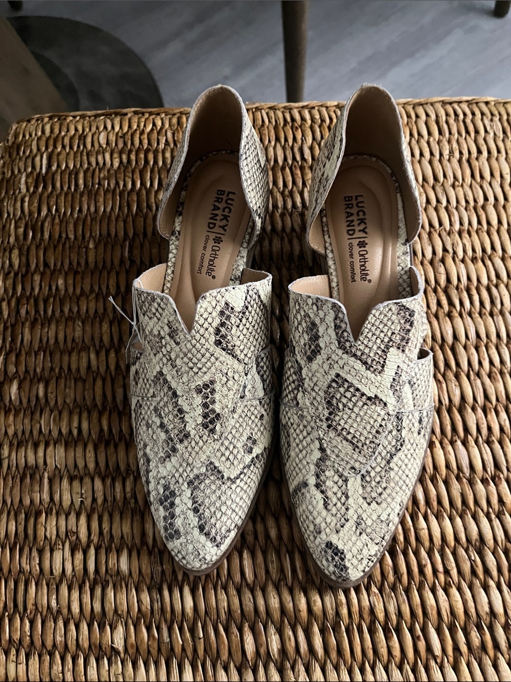 Lucky Brand Minnsey Neutral Snake-Print Cream and Brown Brand New ! SZ 6.6